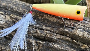PICO POP 42 . BONE-ORANGE