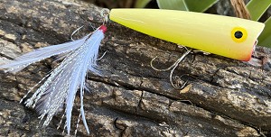 PICO POP 73 .  BONE-CHARTREUSE 